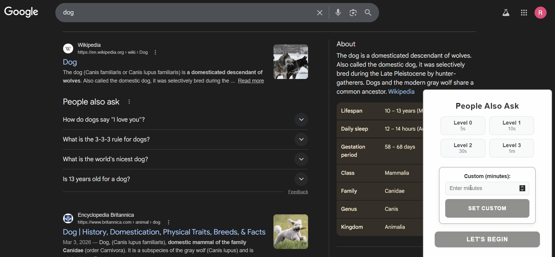 People Also Ask demo